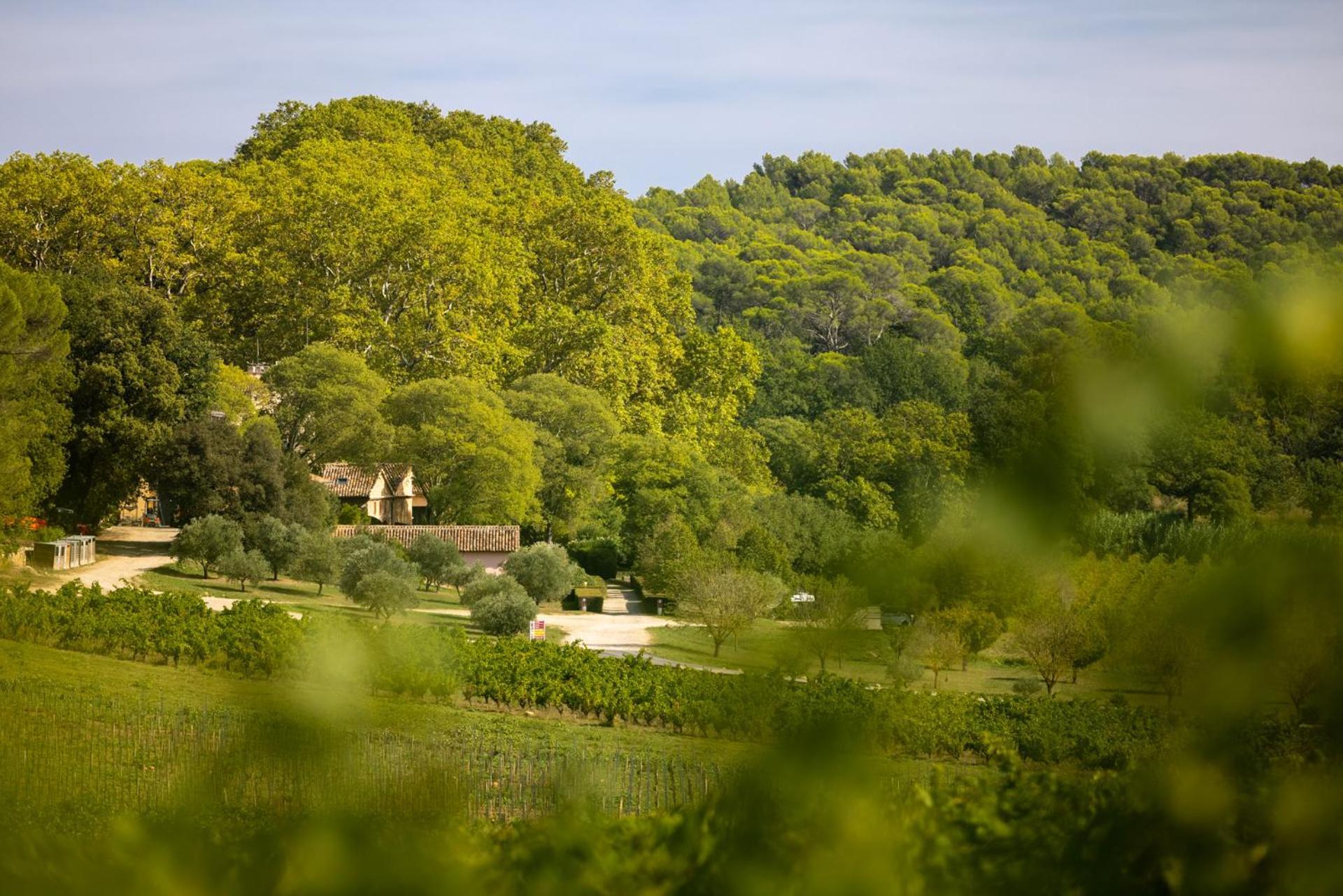 Château Mentone Masseboeuf Exterior foto