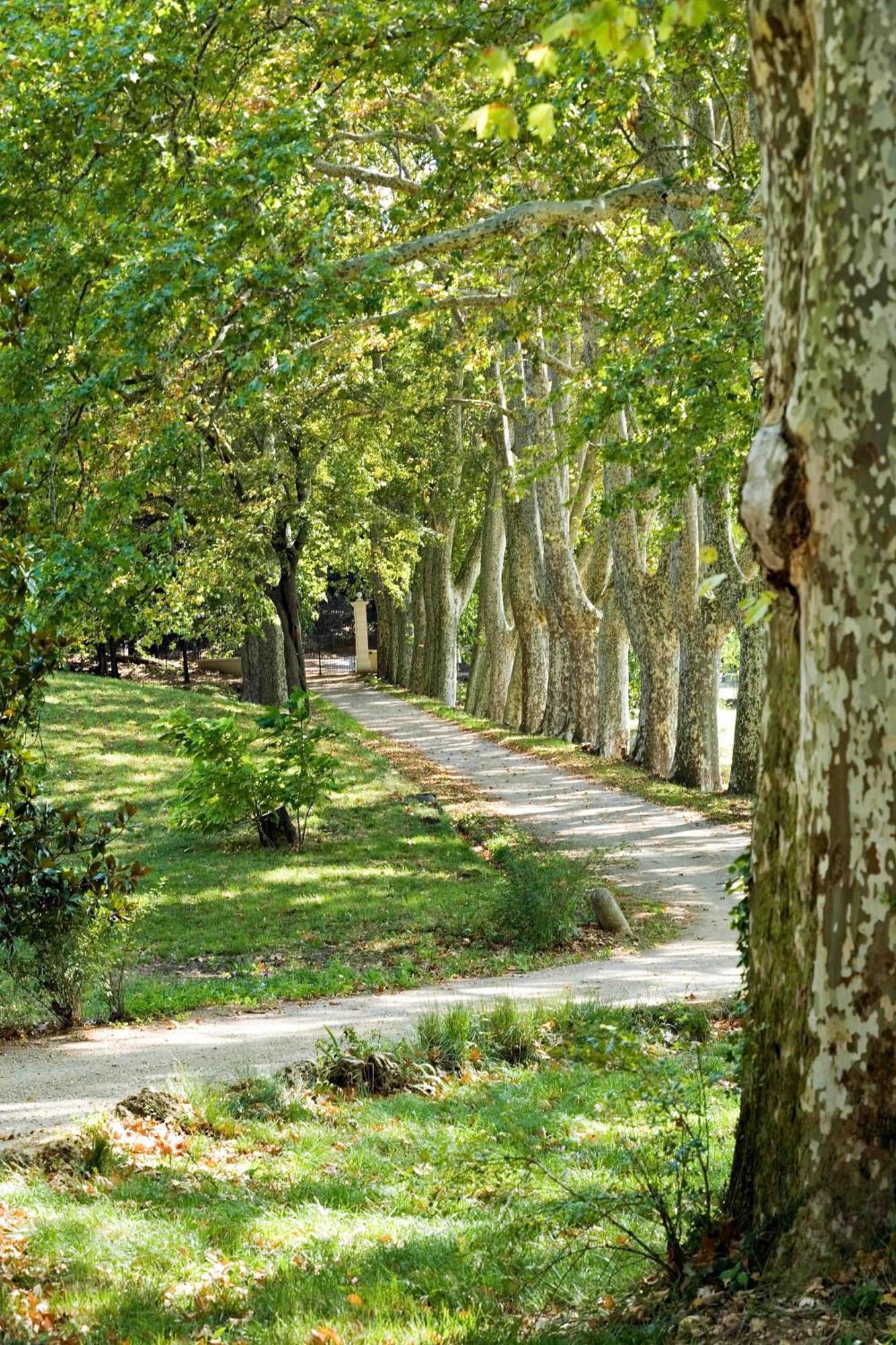 Château Mentone Masseboeuf Exterior foto